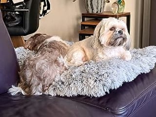 FEANDREA XXL hondenmand 122 x 74 cm voor €24,17 bij Amazon NL