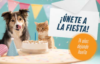 Promoción 14 Aniversario en Zooplus.