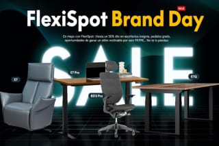 Pedidos Gratis en Flexispot y hoy Silla escritorio BS10-Brandy Month por solo 49,99€