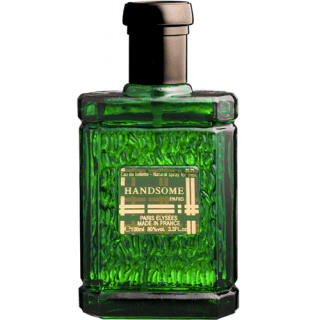 Perfume Masculino Paris-Elysees Handsome de 100ml - R$ 49,90