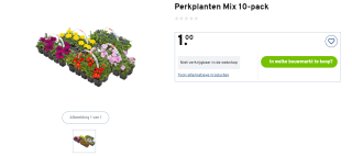 Perkplantjes 10 voor €1 bij Gamma tijdens plantjesmarkt 7-10 april