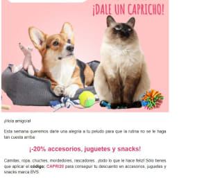-20% de descuento en accesorios y juguetes y snacks marca BVS