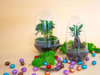 Tot Pasen 25% korting op alle Egg terrariums