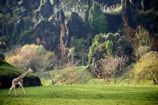 Entrada Parque Cabárceno + 2 noche alojamiento por tan solo 54€