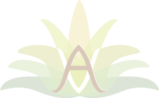 5% descuento para tu primera compra