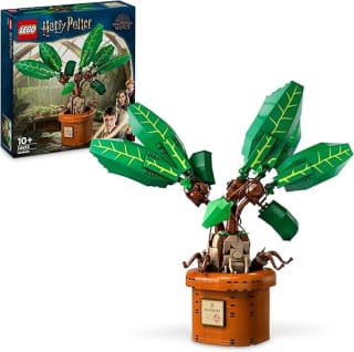 LEGO Harry Potter Mandragora Plant in Pot (76433) voor €42,49 bij Amazon