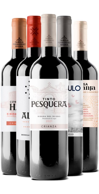 Colección Familia Fernández Rivera (5 Botellas por 45€)
