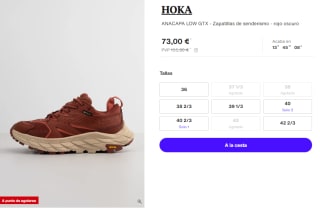 Zapatillas de Trekking HOKA ANACAPA LOW GTX por 73€