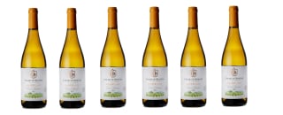 6 Botellas de Casar de Burbia Godello 2023 por 44€