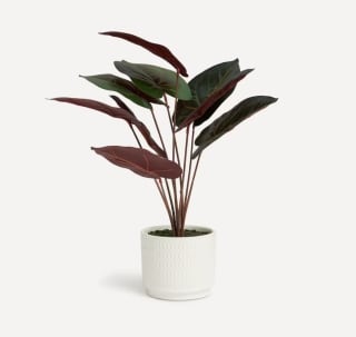 Planta artificial Alocasia El Corte Inglés por solo 16,06€