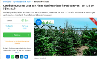 Kerstboomvoucher voor een Nordmanniana-kerstboom van 150-175 cm bij Intratuin
