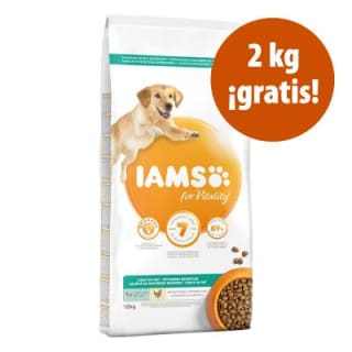 Pienso perros IAMS for Vitality 12 kg por 16,59€