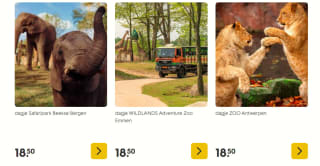 Diverse dierentuin Tickets voor €18,50 via de Hema