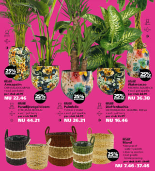 25% korting op alle kamerplanten, binnenpotten & woonaccessoires bij Ranzijn