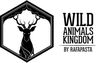 10% descuento en tu primera compra + regalos