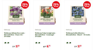 25% korting op alle Bloembollen bij Welkoop