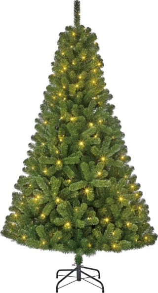 Black Box Trees Charlton met LED verlichting H185cm voor €53,99 bij bol