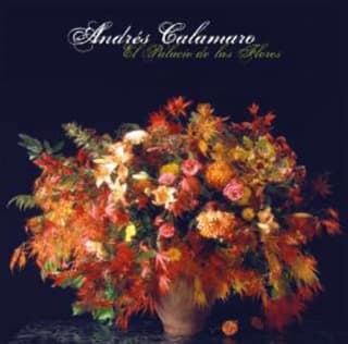 Doble Vinilo Andres Calamaro El Palacio De Las Flores por 11€