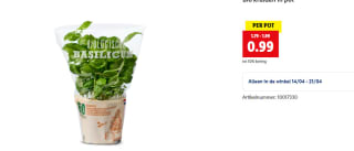 Alle Bio kruiden in pot voor € 0,99 bij de Lidl