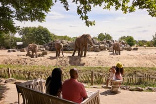 Nu voor €17,15 naar Safaripark Beekse Bergen