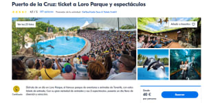 Entradas adulto desde 42€ Loro parque
