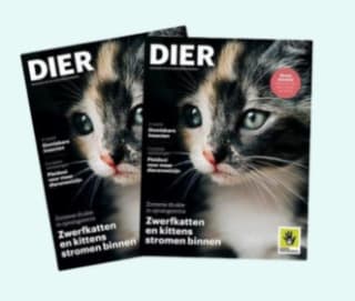 Gratis magazine DIER van de Dierenbescherming
