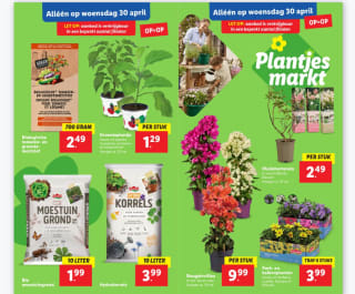 Plantjesmarkt bij de Lidl