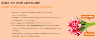 Gratis tulpen plukken in Amsterdam