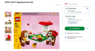 LEGO Classic - Egel Picknick Date voor €6,90 bij Smythstoys