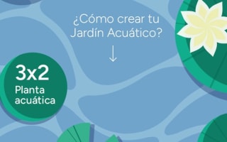 3x2 en plantas acuáticas en FRONDA