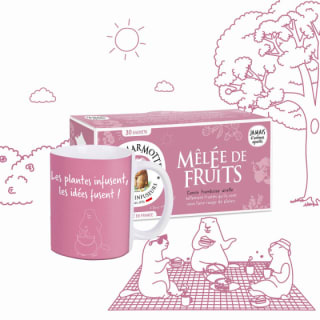 Pack Les 2 Marmottes Les Idées Fusent Infusion et son Mug Assorti à 9,90€