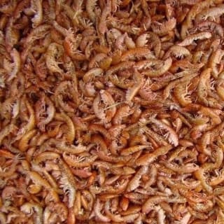 Vlokreeftjes 10 liter / 1,1 kg (prijsfout?)