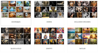 Canvas met collectiebeeld 60x40 cm voor €16,28 incl. verzending