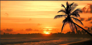 6 díass en hotelo 5* en Punta Cana y Todo Incl. desde 938€