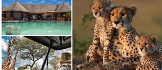 7 noches reserva privada de cinco estrellas en plena sabana desde1.999€ pxp