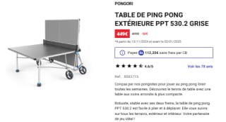 Table de ping pong extérieure PPT 530.2 Grise à 449€