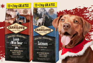 Código DISFRUTAGUAW descuento 20% en Guaw