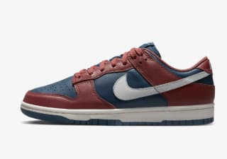 Nike Dunk Low Damesschoenen voor €54,95 bij Zalando