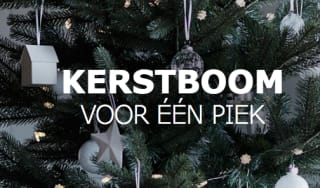 IKEA kerstboom + IKEA bon twv €19 voor €20