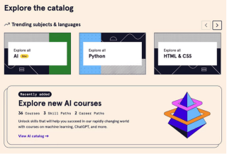 Black Friday Código 50% Descuento Cursos suscripción Pro anual a Codecademy