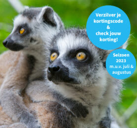 Met 30% korting naar diversen dierentuinen via de Lidl app