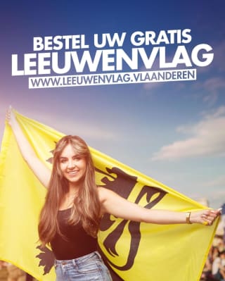 Gratis Vlaamse leeuwenvlag