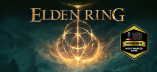 Jeu Elden Ring sur PC à 31€