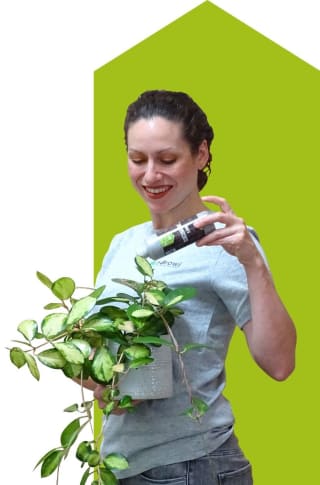 10% korting op alles van biogroei.be