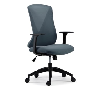 BackSupport ergonomische bureaustoel BS9 voor €139,99 dmv code bij Flexispot