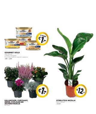 Jumbo actie de euro show 4 weken lang heel veel producten voor €1