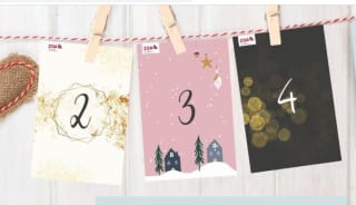 Gratis ZOA Adventskalender aan te vragen