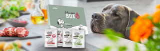 Gratis proefpakket Platinum Hondenvoeding