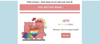 Dominio.gay Gratis primer año en Porkbun