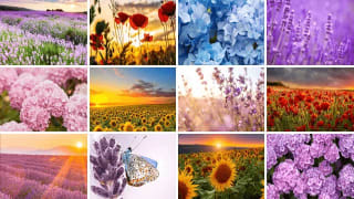 Canvas collecties van 60x40 cm voor €13,19 dmv code bij CanvasCompany